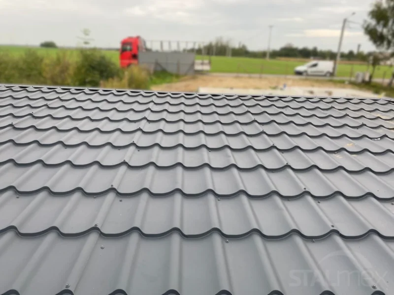 Garaż blaszany 6x5m Złoty Dąb / Grafit | Blachodachówka | Szeroki Panel | Profil